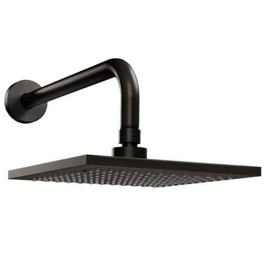 REGADERA BR Y CHAP CHF ANTICAL ÉBANO (REC-02-EB) PROYECTA