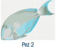 FIGURA PEZ 02 1.5X1.10 (GPA)