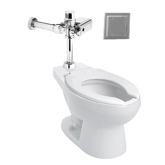 TAZA NAO + FLUXOMETRO FC-110-38-3.5 + INCLUYENDO ASIENTO AF-1 (NAO FC-3.5) SANIVEX