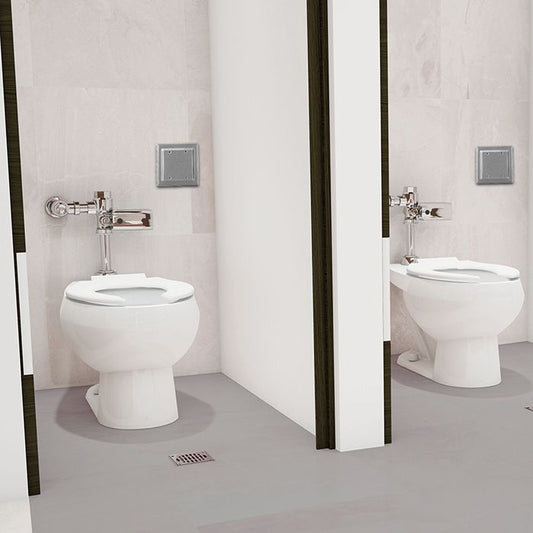 TAZA NAO + FLUXOMETRO FC-110-38-3.5 + INCLUYENDO ASIENTO AF-1 (NAO FC-3.5) SANIVEX