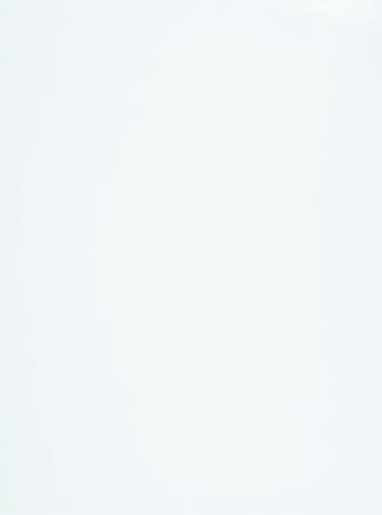 MURO AUSTRAL BLANCO 33.3 X45.1 1A 1.65MT2 ( AUSBLA33.345.1A) VITRO