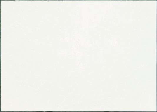 MURO VIVA BLANCO 25X35 CM 1.5 M2 1A (520910029007081) VITRO
