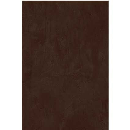 MURO ACTIVA CHOCOLATE 20.1X30.19 1A 1.52MT2 (ACTCHO20.1X30.191.52) VITRO