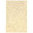 MURO ROMA ARENA 20.1X30.2 CM 1.82 M2/CAJA 1A (520256427026131) VITRO