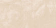PISO MONARCA BONE 50X100 CM 1.5 M2/CJ RECT 1A (522187254290481) VITRO
