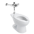 FLUX ELEC BAT FB-110-38-3.5, ASIENTO AF-1, TZF NAO (NAO FB-3.5) SANIVEX