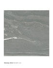 PISO STONEY GREY 60X60 1.44 M2/CJ (ZB1SY-GY) INTERCASA