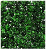 MURO VERDE FICUS GREEN 100x100 1.0 M2 (MV-FICUSGRE) GANTE