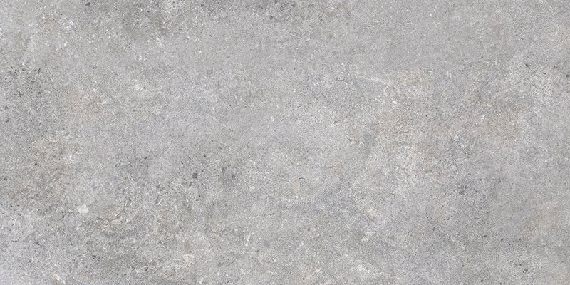PISO SCANNO GRAY 50X100 CM 2.0 M2 RECT 2A (522513254282912) VITRO