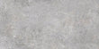 PISO SCANNO GRAY 50X100 CM 2.0 M2 RECT 2A (522513254282912) VITRO