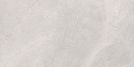 PISO SAN GABRIEL MT GRAY 2A 50X100 CM 1.5 M2 RECT  (522514254282682) VITRO
