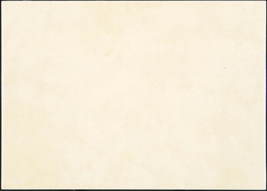 MURO VIVA HUESO  25X35 1A (1.5MT2)