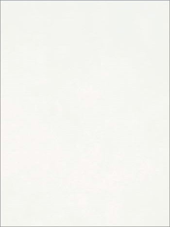 MURO VIVA BLANCO  25X35 2A 1.5 M2 (520910029007082) VITRO