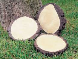 RUEDA DE ARBOL PINO